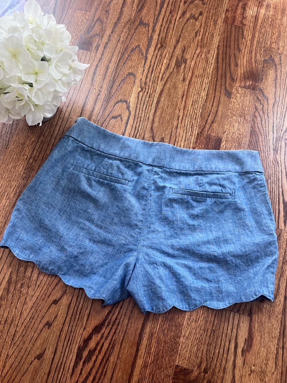 LOFT Chambray Scallop Hem Riviera Shorts Size 8 - Picture 4 of 8